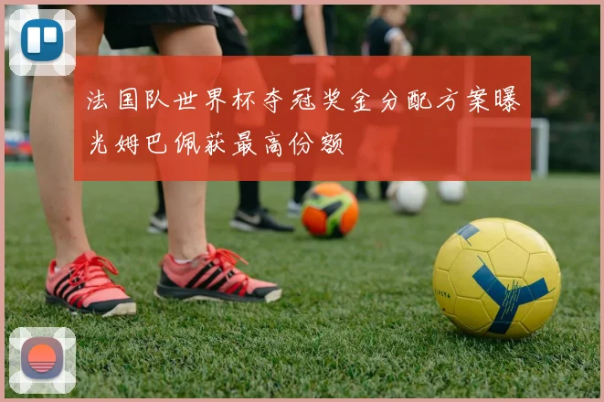 法国队世界杯夺冠奖金分配方案曝光姆巴佩获最高份额