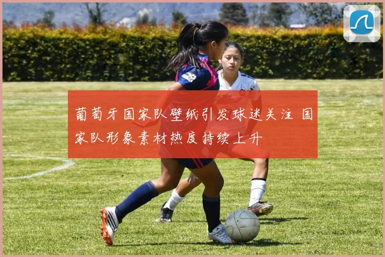 葡萄牙国家队壁纸引发球迷关注 国家队形象素材热度持续上升