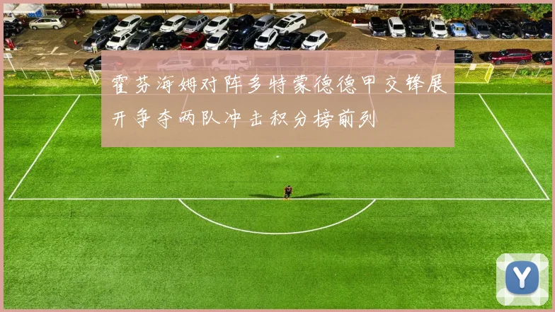 霍芬海姆对阵多特蒙德德甲交锋展开争夺两队冲击积分榜前列