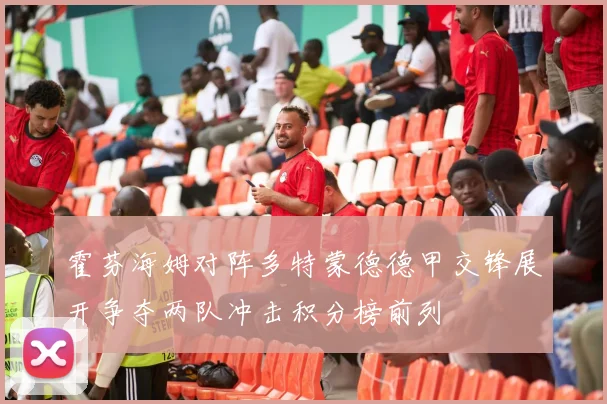 霍芬海姆对阵多特蒙德德甲交锋展开争夺两队冲击积分榜前列