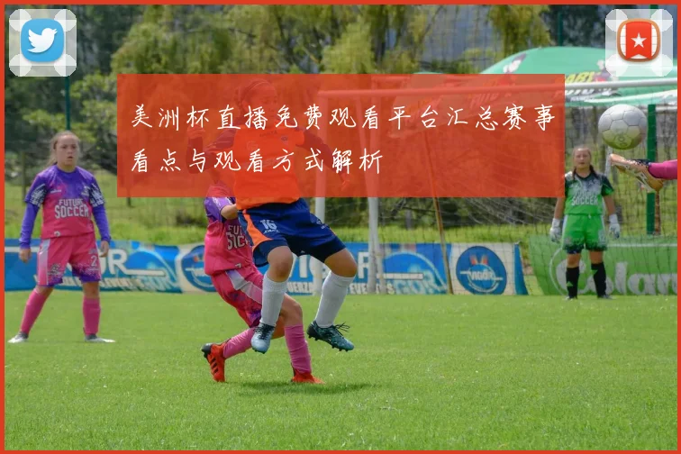 美洲杯直播免费观看平台汇总赛事看点与观看方式解析