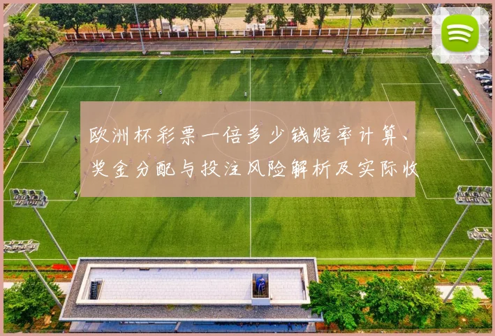 欧洲杯彩票一倍多少钱赔率计算、奖金分配与投注风险解析及实际收益测算
