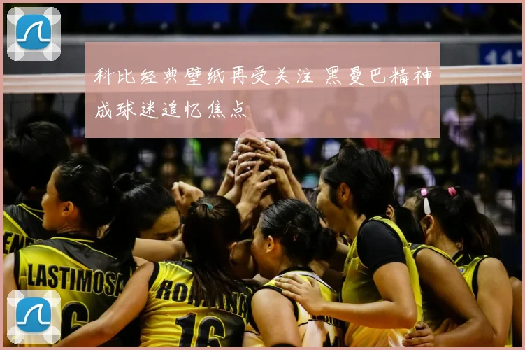 科比经典壁纸再受关注 黑曼巴精神成球迷追忆焦点