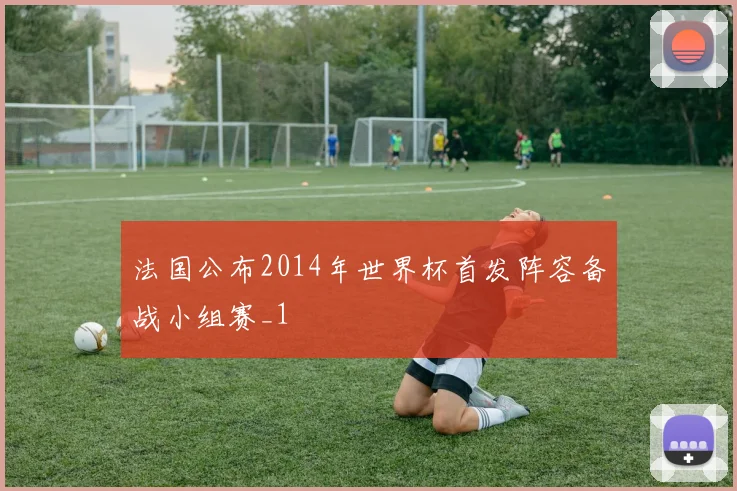 法国公布2014年世界杯首发阵容备战小组赛_1