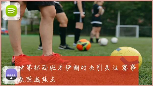 世界杯西班牙伊朗对决引关注 赛事表现成焦点