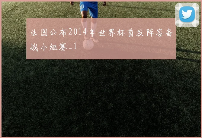 法国公布2014年世界杯首发阵容备战小组赛_1