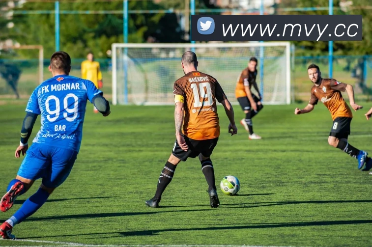 开云在线官网登录入口APP 高清赛事图